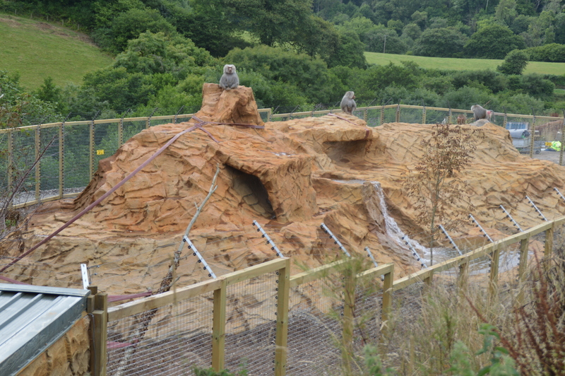 Herplaatsing groep Diallo