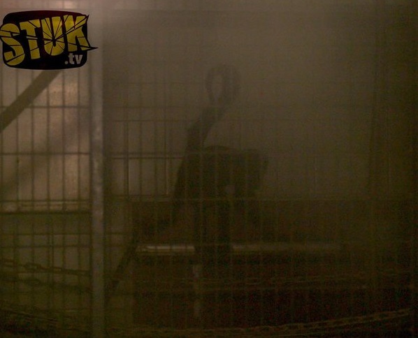 Slingeraap achter tralies.