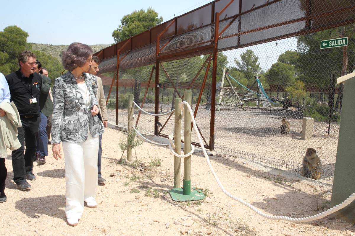 Koningin Sofia loopt rond in Primadomus.