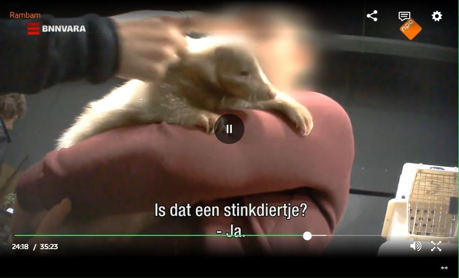 Stinkdier screenshot