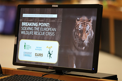 EU moet helpen bij opvang voor wilde dieren vinden organisaties.