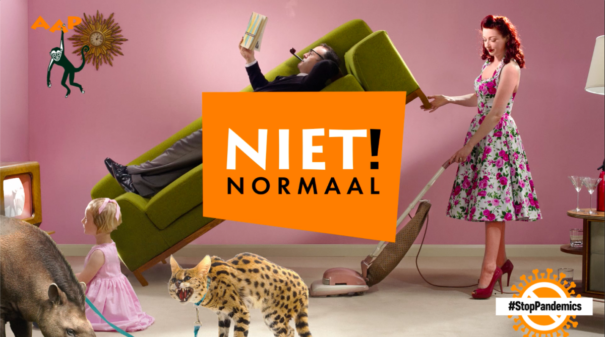 Afbeelding van campagne over exotische zoogdieren die niet in huis horen.