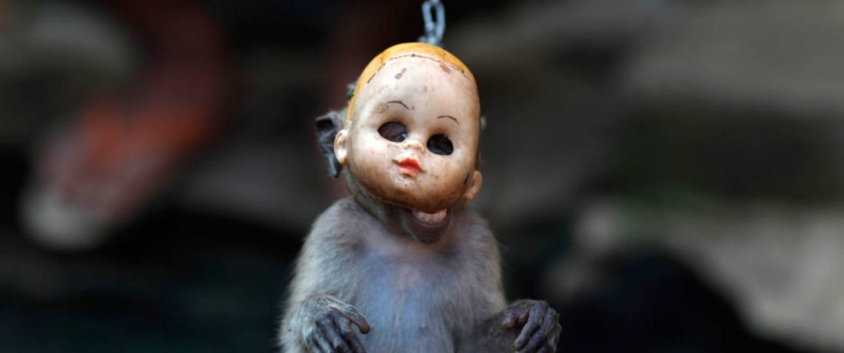 Dansaapje Jakarta vakantie