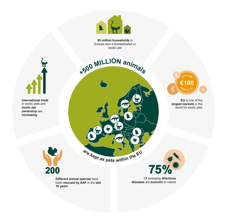 Zoonoses illustration
