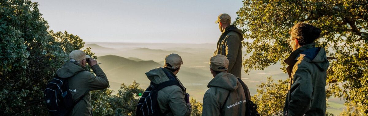 Rangers Born to be Wild