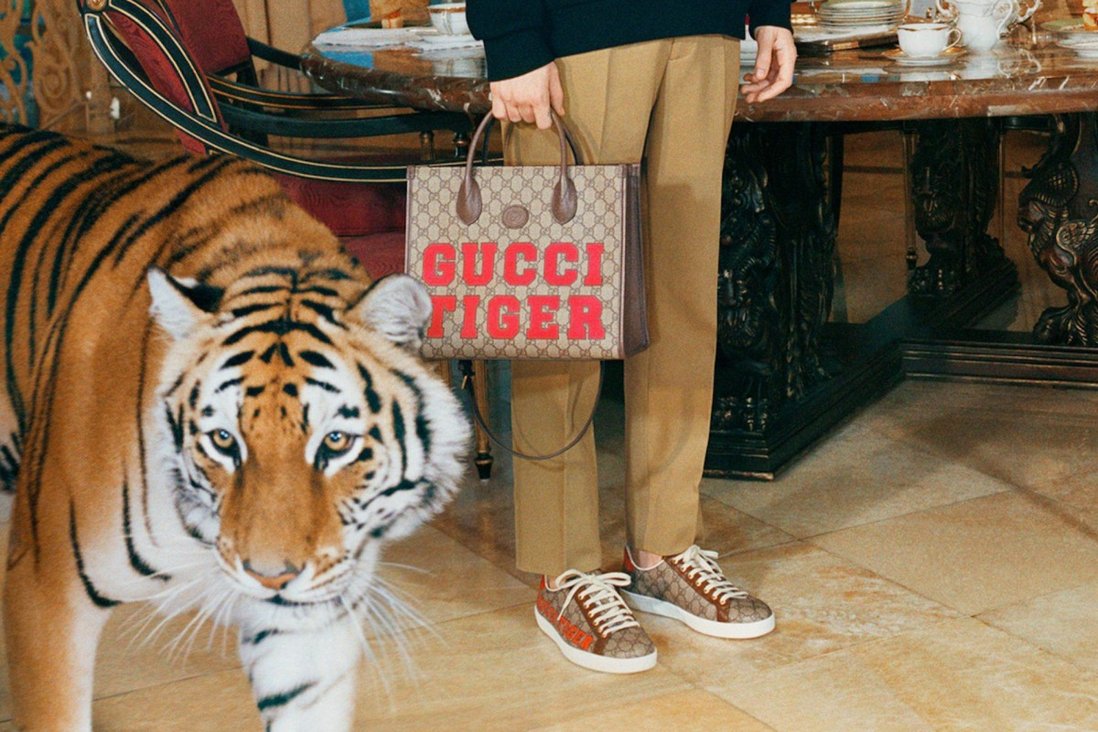 Gucci tijger