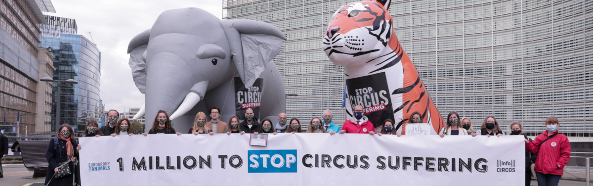 Circus ban campaign petition