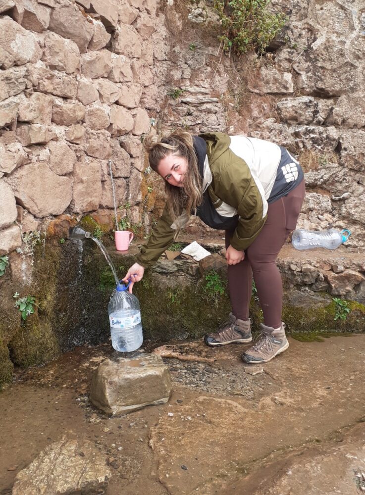 Born to be Wild vrijwilliger
