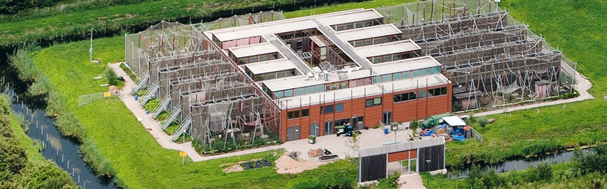 Chimpanseecomplex van boven bezien.