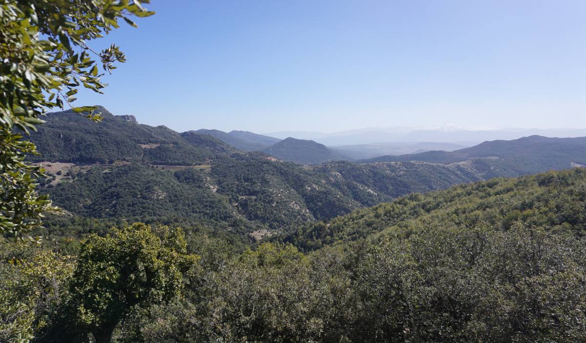 Born to be Wild - Tazekka