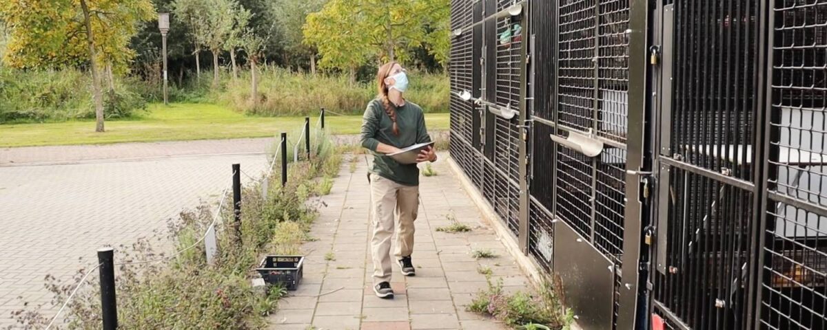 Dierverzorgers AAP over Dierendag