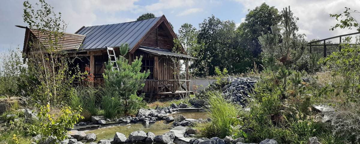 Hoenderdaell wasberen