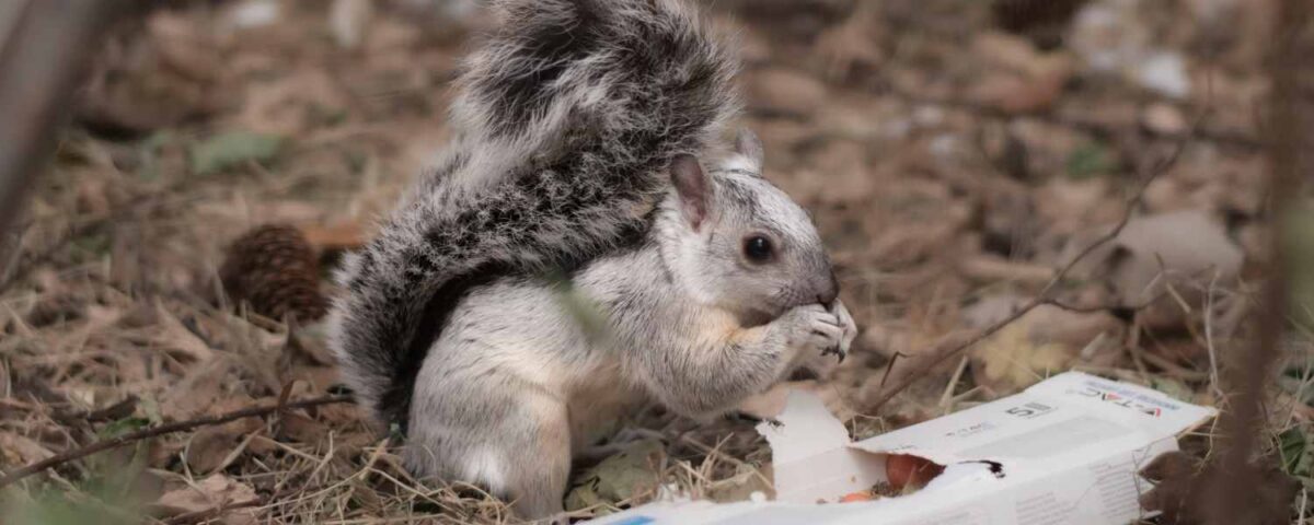 Nederlandse positieflijst uitgesteld