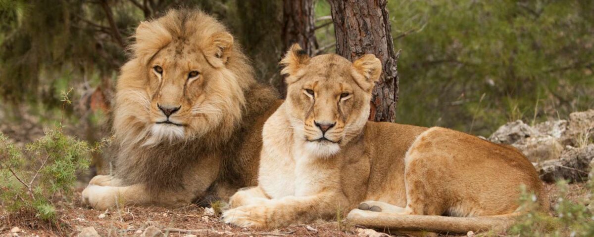 Twee bestuurders - M en E