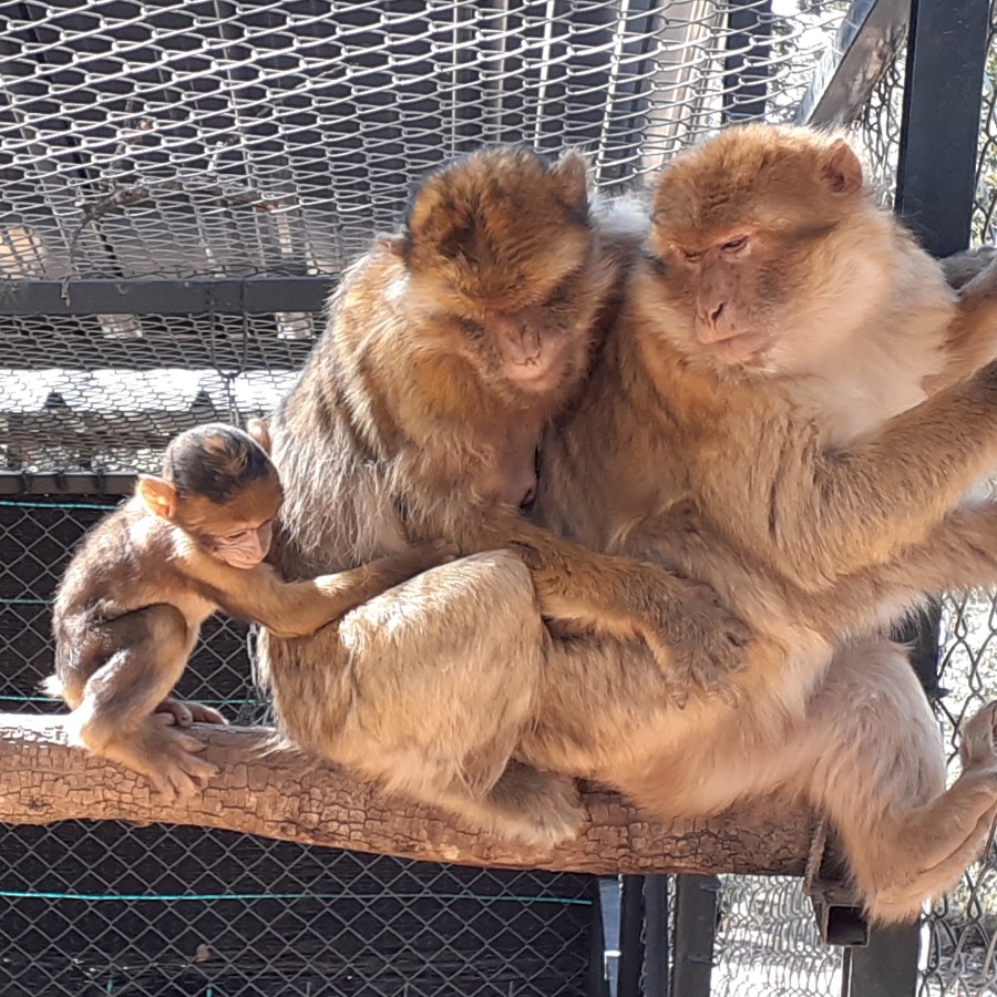 Vacature vrijwilligers BtbW