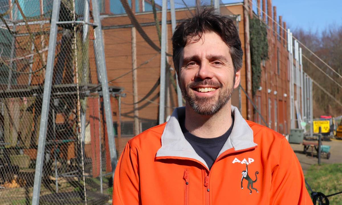 Pieter Levelink