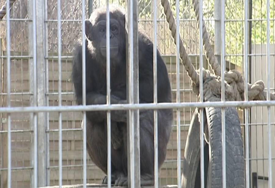 Wilma in de dierentuin