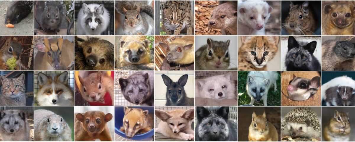 Positieflijst banner