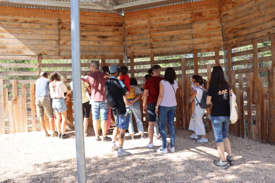 AAP Spanje rondleiding