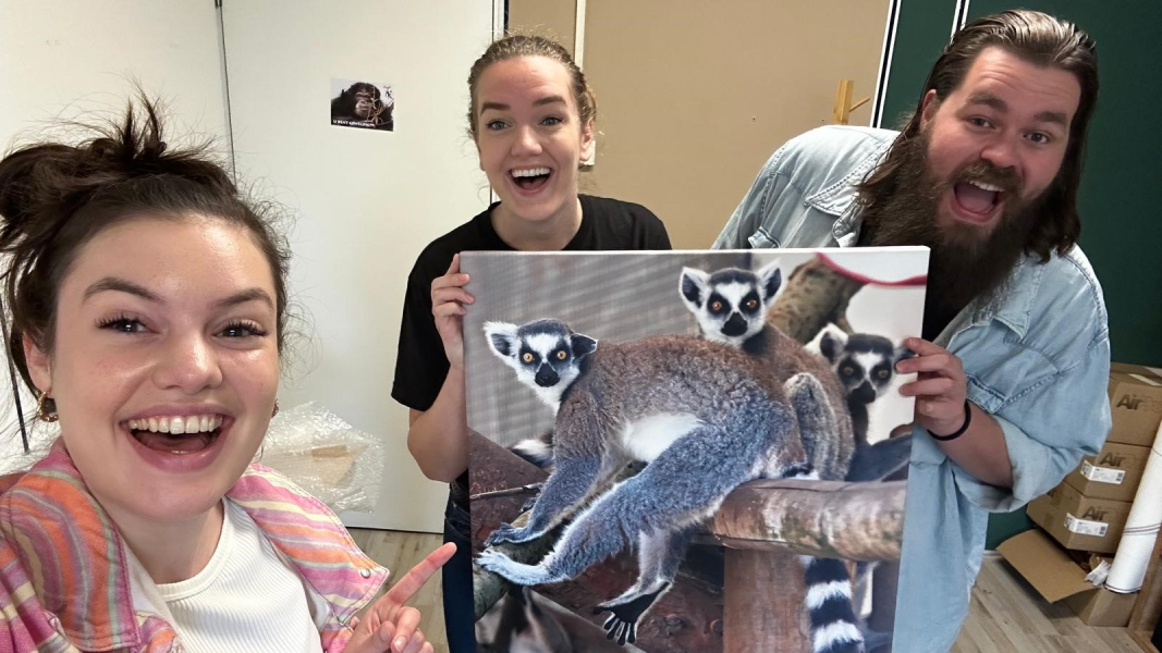 Studio Maki bedrijfsadoptie